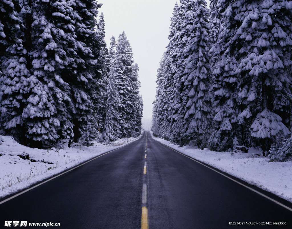 公路 下雪道路