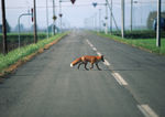 公路