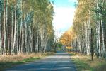 道路