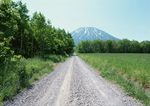野外道路