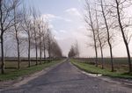 野外公路