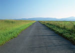 道路