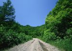 道路 野外马路
