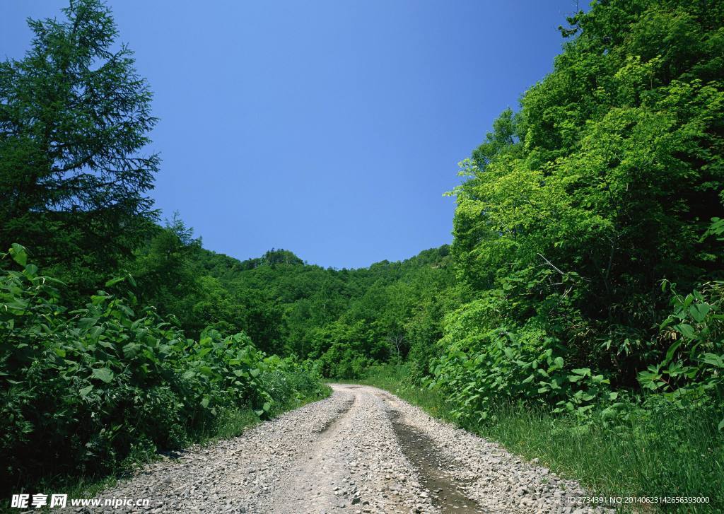 道路 野外马路