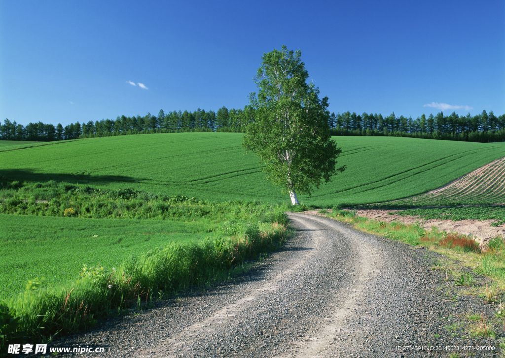 野外公路 道路