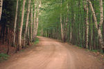 山路公路