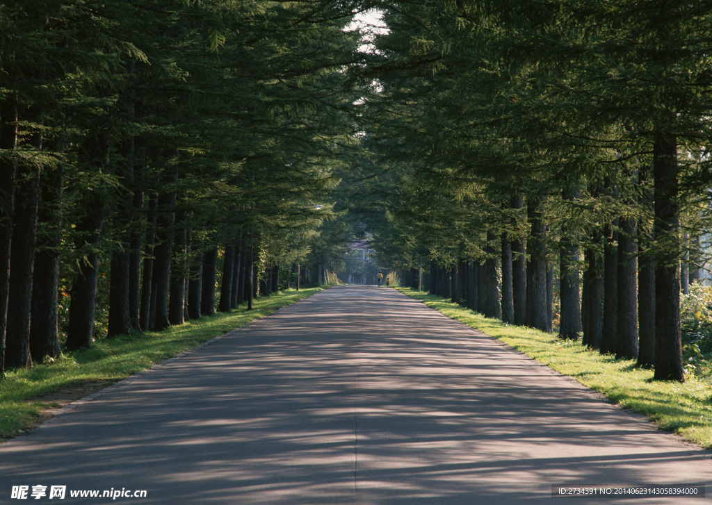 马路道路