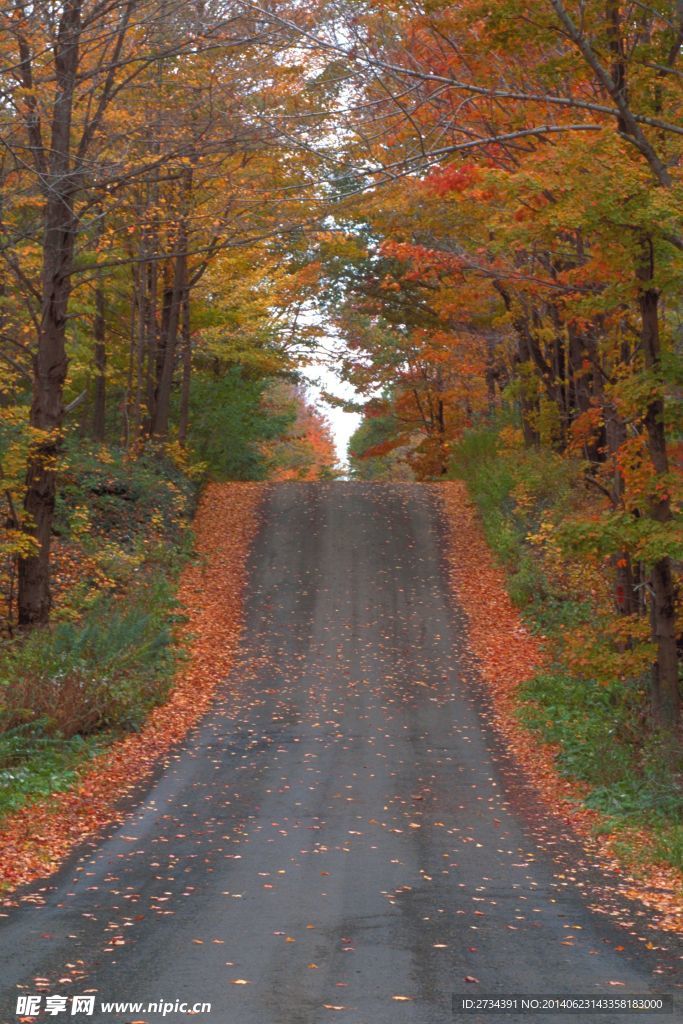 山路