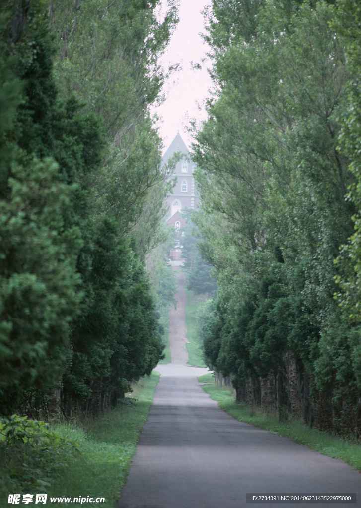 野外公路