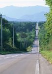 弯曲公路