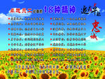 精神展板