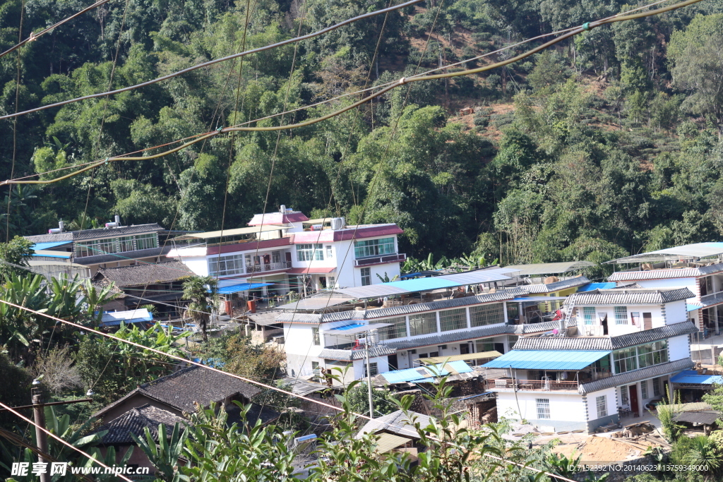 麻黑茶园 麻黑村