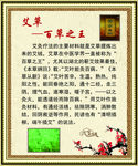 艾草