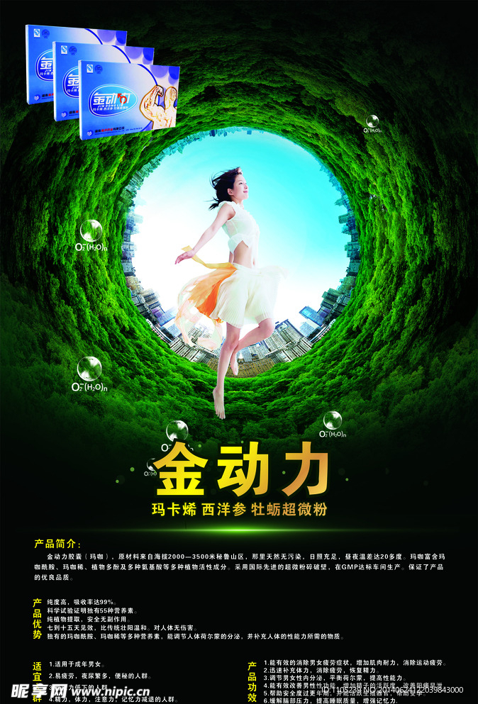 金动力
