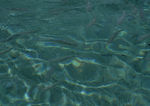 水波