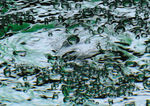 水波