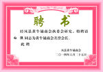 聘书
