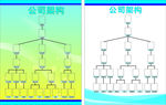 公司架构