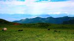 轿顶山风景