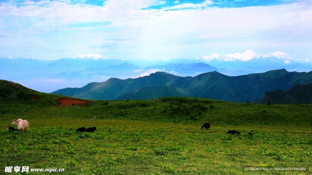 轿顶山风景