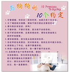 与狗的约定  10个约定