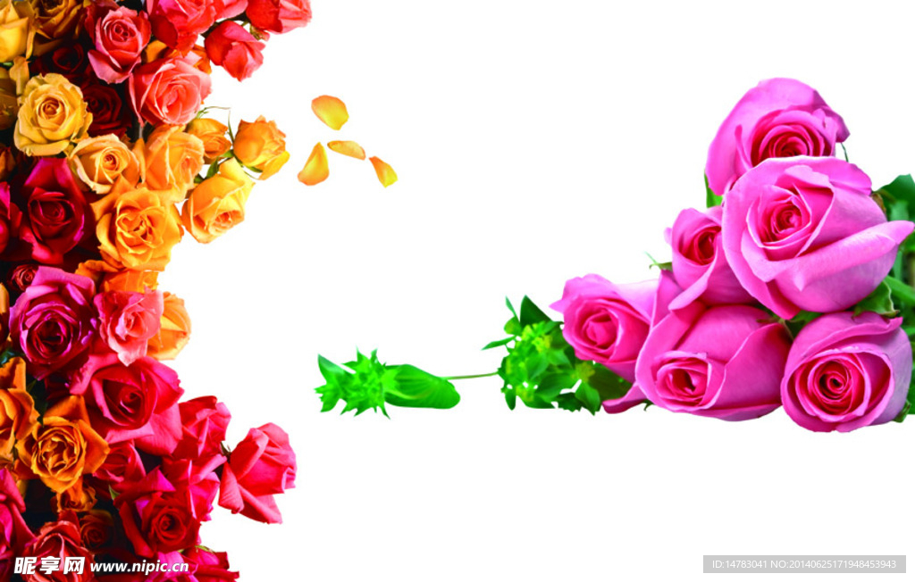 鲜花