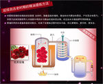 玫瑰精油提炼过程