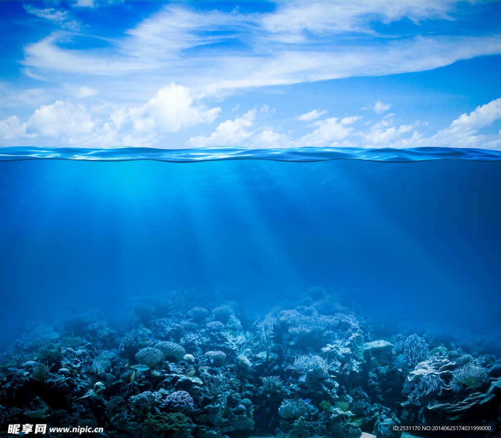 海底世界