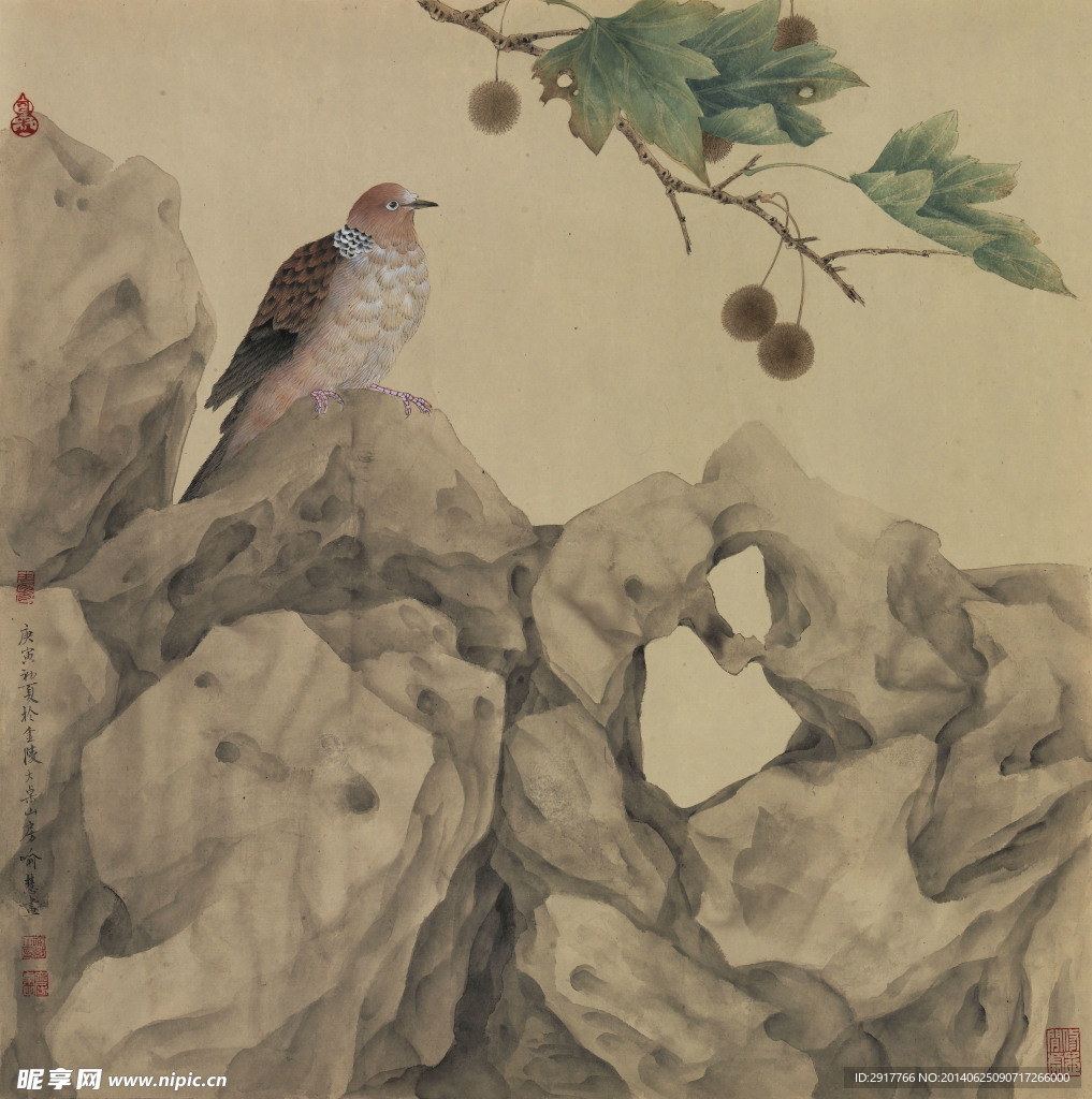 鸟儿 国画