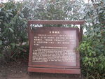 景区