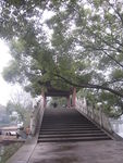 桥梁