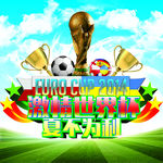 2014世界杯