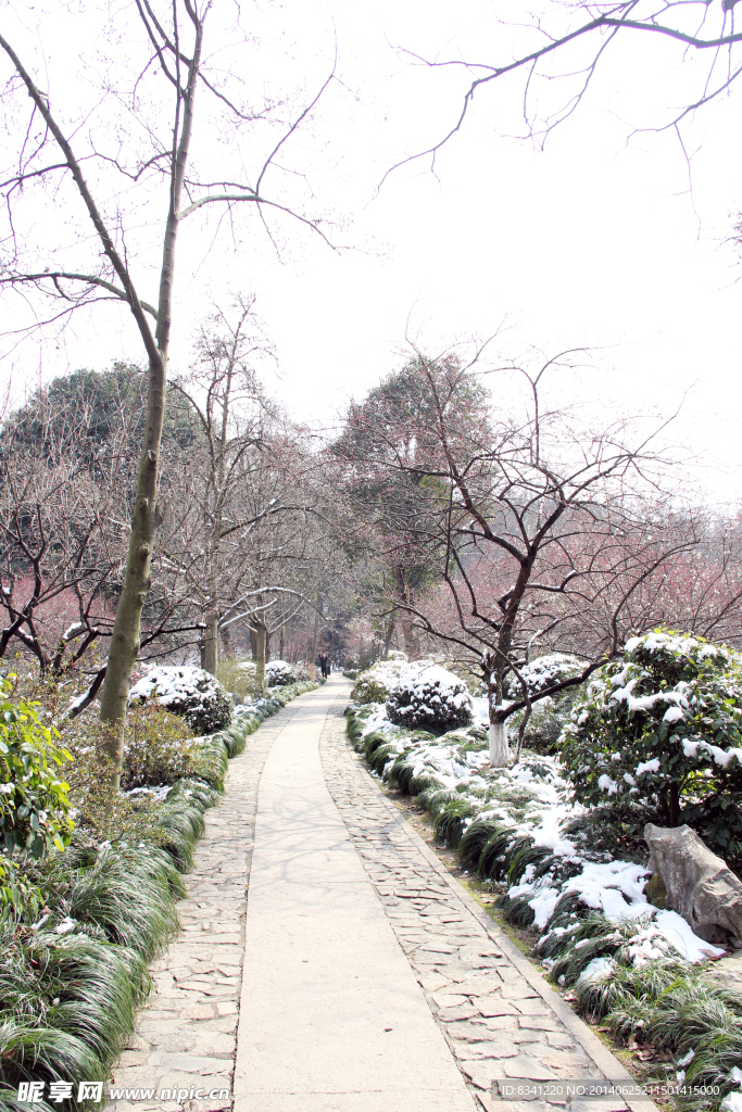 雪后小路