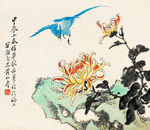 清菊绶带