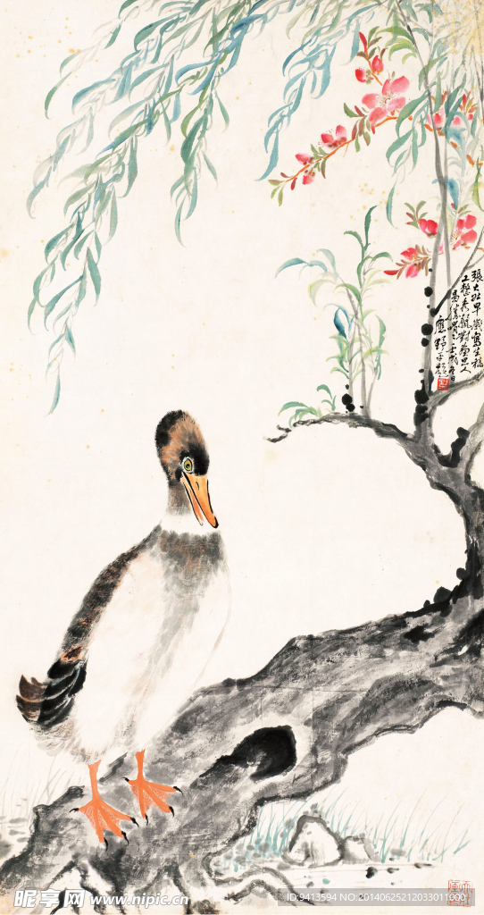 柳塘鸭戏