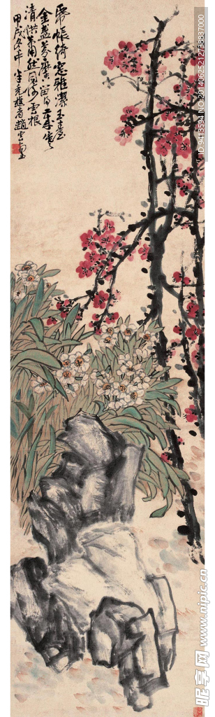 梅花水仙