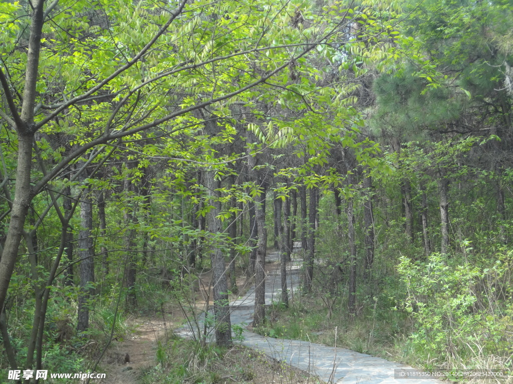 山间小路