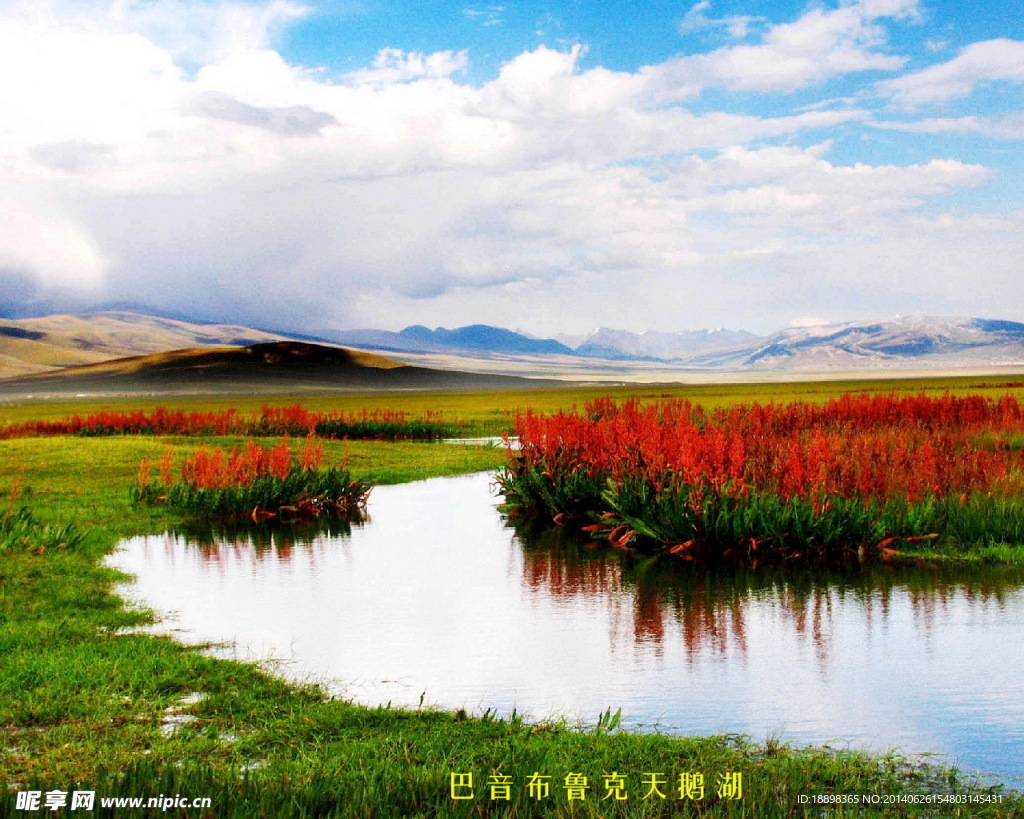 巴音布鲁克 天鹅湖