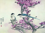 灰鹊梅花