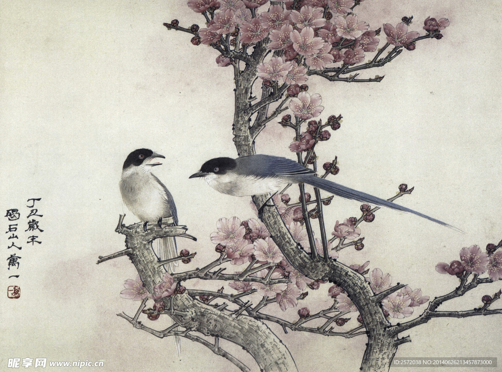 灰鹊梅花