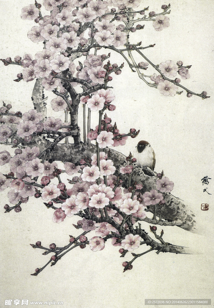 雀栖梅树