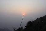 泰山