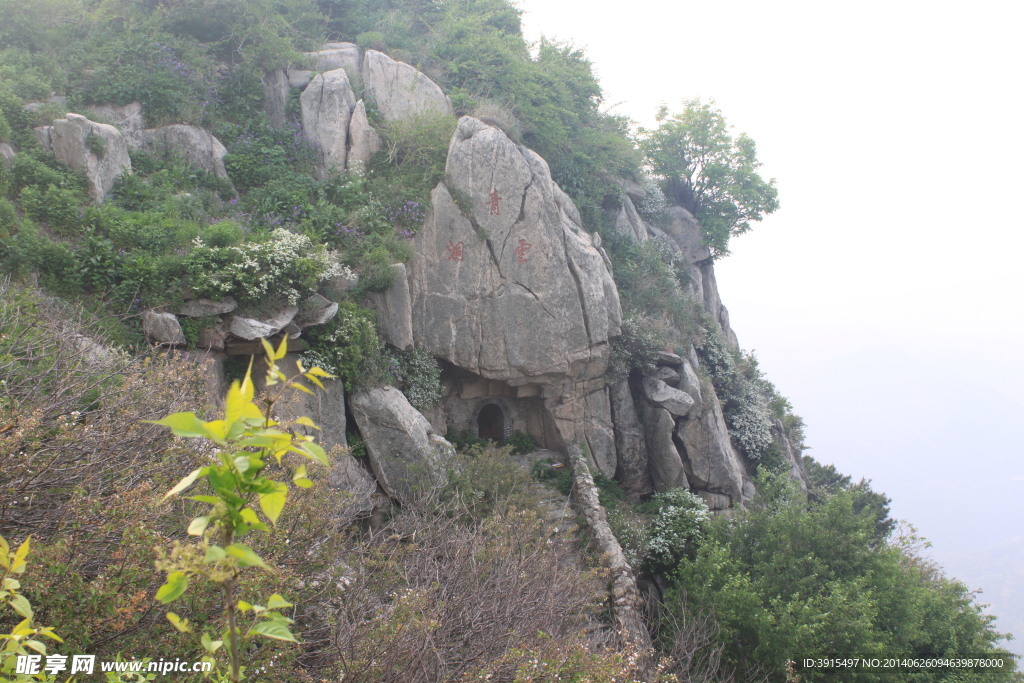 泰山