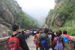 泰山