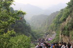 泰山