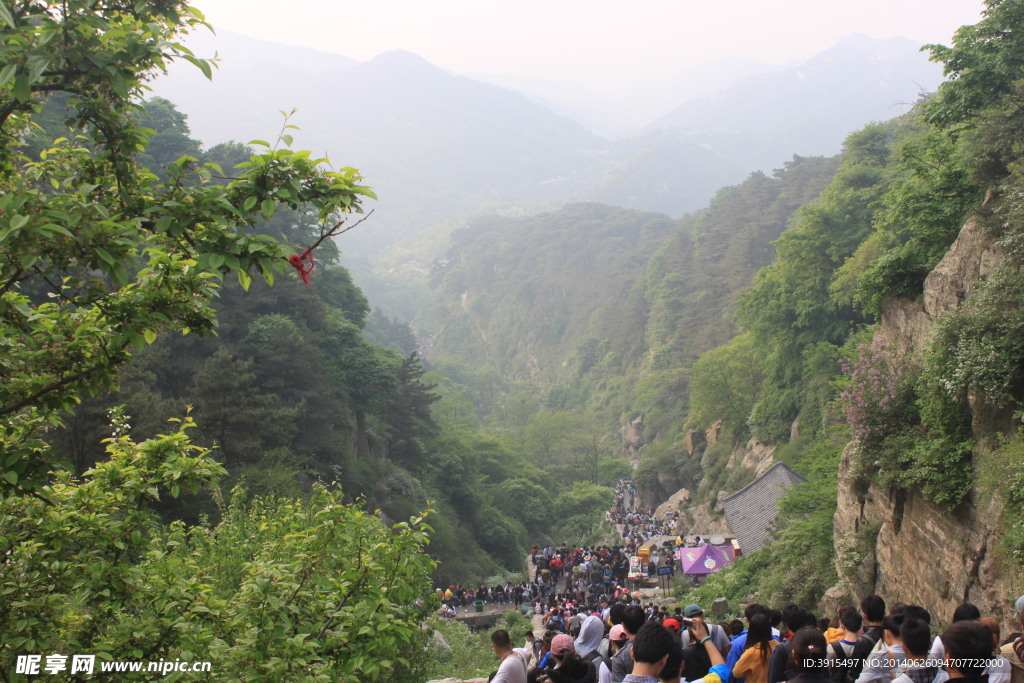 泰山
