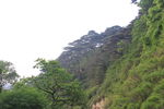 泰山