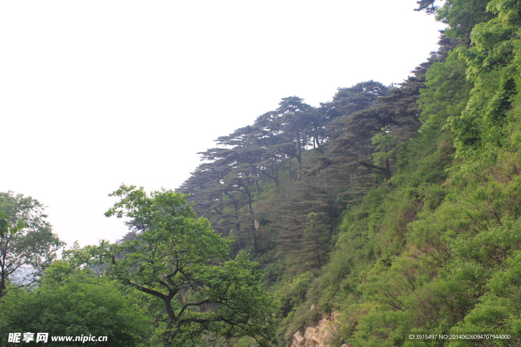泰山