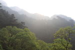泰山