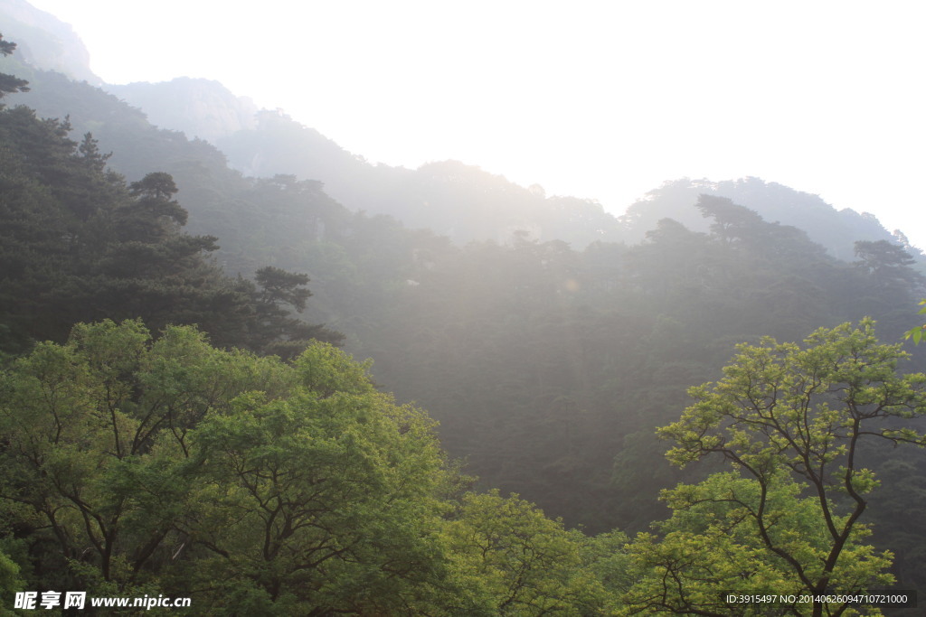 泰山